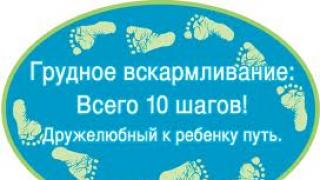 Как правильно кормить грудью – основные принципы грудного вскармливания